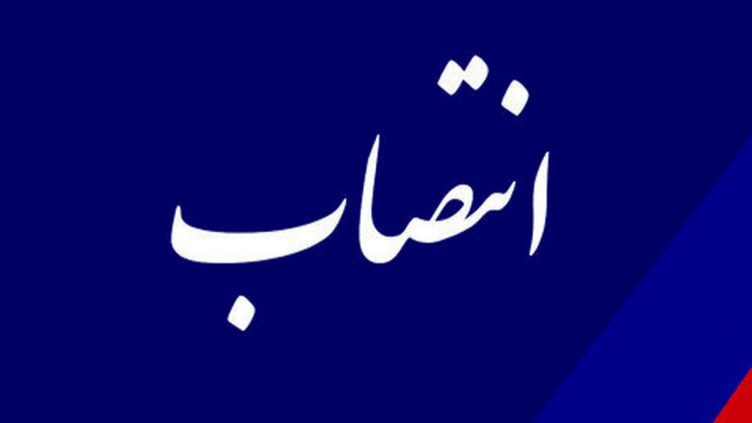 مدیر امور پژوهشی و ارزشیابی «سمت» منصوب شد